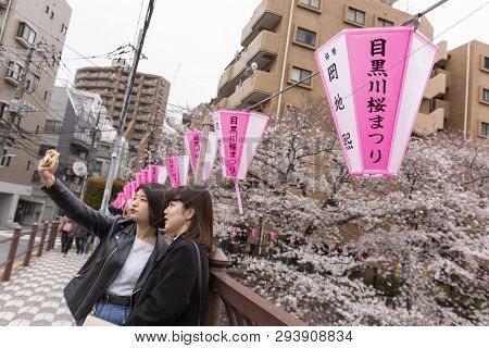 April 02, 2019, Tokyo, Japan - Visitors Take A Selfie With The Cherry Blossoms In Nakameguro River.