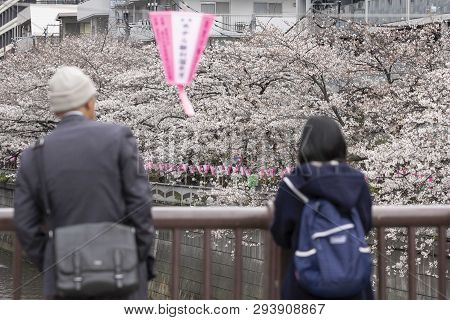 April 02, 2019, Tokyo, Japan - Visitors Enjoy The Cherry Blossoms In Nakameguro River.