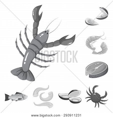Vector Design Of Seafood And Healthy Symbol. Set Of Seafood And Ocean Stock Vector Illustration.