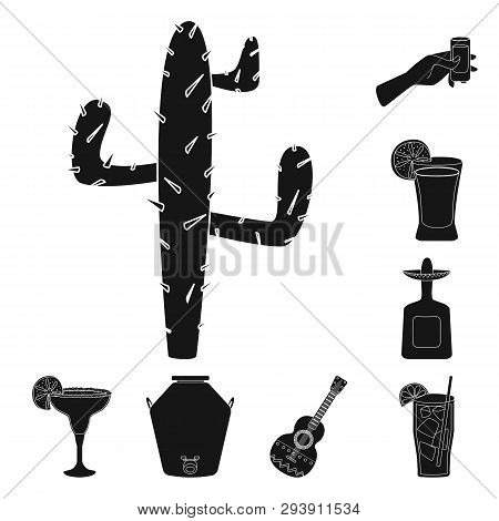 Isolated Object Of Carnival And National Icon. Set Of Carnival And Tequila Stock Vector Illustration