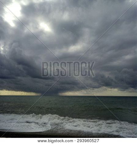 Cloud And Torenado Overthe Sea Summer Birrd Before The Storm