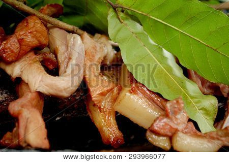 traditional bbq pork se'i from Kupang, Indonesia has distinctive taste from kosambi (Schleichera oleosa) leaves