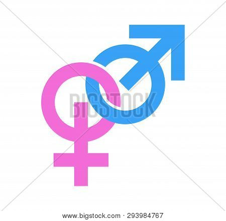 Couple Of Gender Signs. Icons Of Masculine And Feminine Linked. Vector Illustration In Eps10