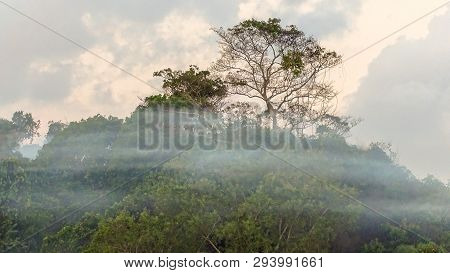 Beautiful Landscape Jungle View And Morning Fog In Bukit Kalam Village,labuan,malaysia.nature Backgr