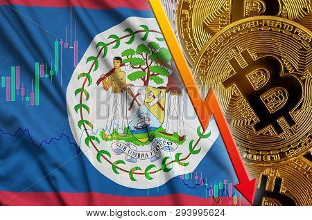 Belize Flag And Cryptocurrency Falling Trend With Many Golden Bitcoins