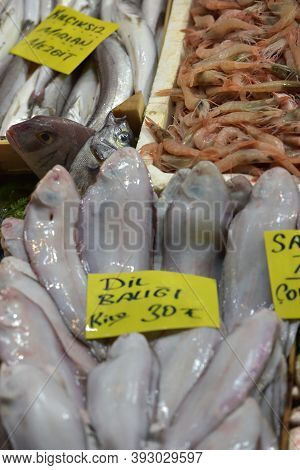 Solea Solea In The Fish Market Of Istanbul