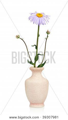 Blomster i en vase