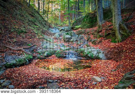 Amazing Autumn Forest Landscape. Little Stream Flowing Into The Woods Between Rocks And Trees. The F