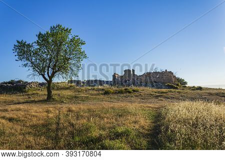 Ruins Of The 