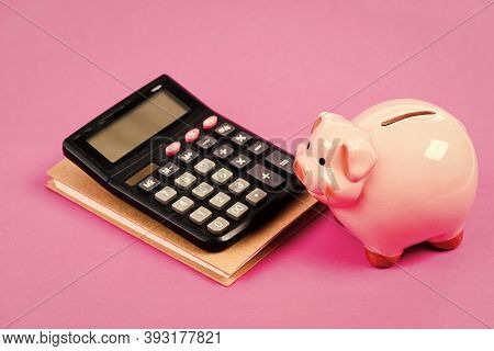 Credit Concept. Calculate Profit. Piggy Bank Pink Pig And Calculator. Finance Manager Job Position. 