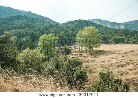 Mountain view - Parque Nacional Olympus