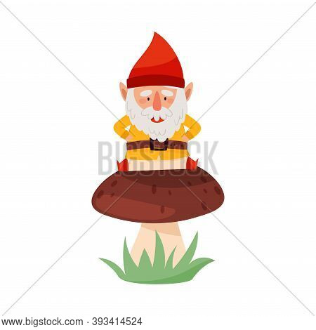 Smiling White Bearded Gnome Character With Red Pointed Hat Sitting On Mushroom Vector Illustration