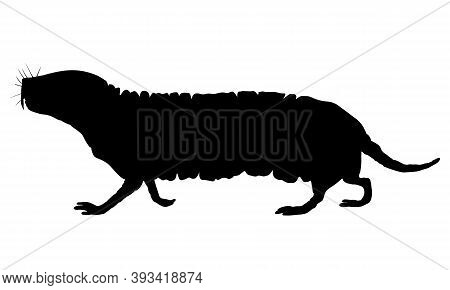 Naked Mole Rat. Black Drawing Silhouette Image.