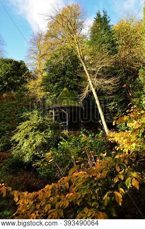 Autumn Colours Among The Trees, Plants And Pagoda Of Pittencrieff Park In Dunfermline, Scotland.