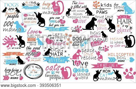 Collection Of Pets Phrases, Slogans Or Quotes