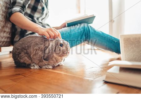 A Woman Is Sitting On The Floor, Reading A Book And Petting A Rabbit. Side View. Concept Of Reading 