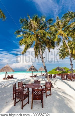 Tropical beach in Maldives with palm trees and vibrant inviting lagoon