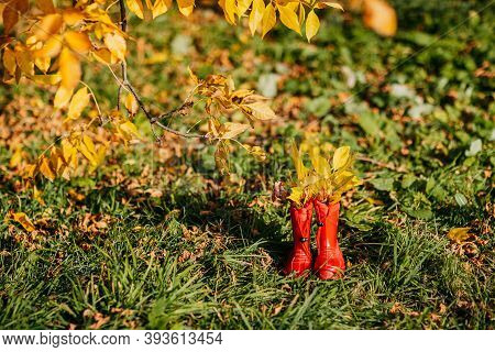 Red Kids Gumboots With Yeallow Leaves Inside. Autumn Coziness With Foliage Inside The Boots. Golden 