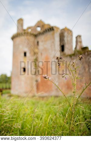 Purple Flower With The Ruins Of The Caerlaverock Castle As Background