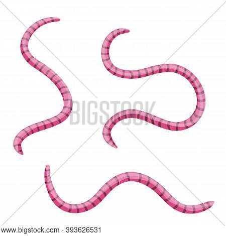 earthworms for fishing