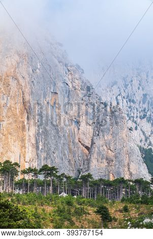 Detail Of A Steep Rocky Wall With Green Fir Trees In The Mountains. Steep Stones Of Big Rocky Mounta