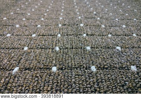 The Texture Of The Gray Rug Made Of Wool, Background, Lifestyle