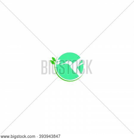 Hummingbird Logo Icon Creative Design