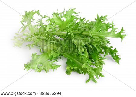 Fresh Green Leaves Of Endive Frisee Chicory Salad Isolated On White Background With Clipping Path An
