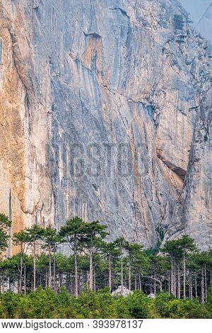 Detail Of A Steep Rocky Wall With Green Fir Trees In The Mountains. Steep Stones Of Big Rocky Mounta