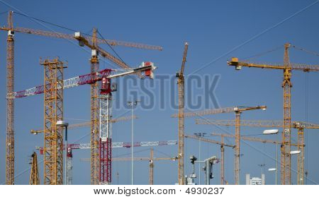 Żurawie