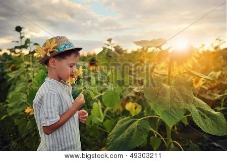 child in sunflowers