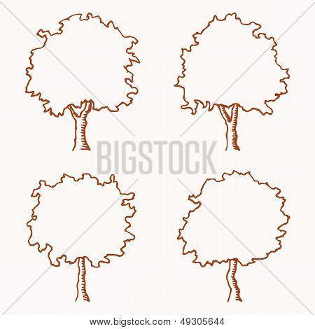 Tree Outline