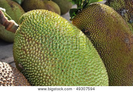 Detailní záběry na trh jackfruit