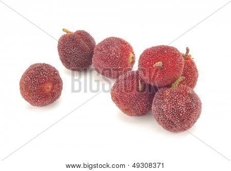 Myrica rubra su sfondo bianco