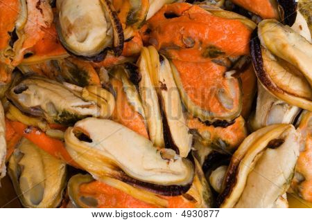 Raw Mussel