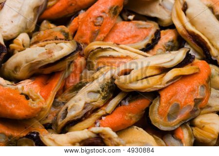 Raw Mussel