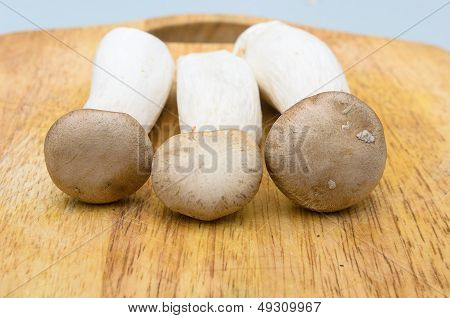 Eringii Mushrooms On The Chopping Block