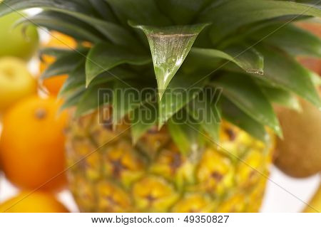 Frutas exóticas