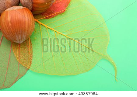 nocciole e foglie trasparenti colorati su sfondo verde