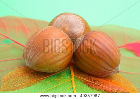 nocciole e foglie trasparenti colorati su sfondo verde