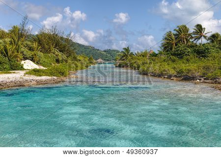 Natural pool in Borabora