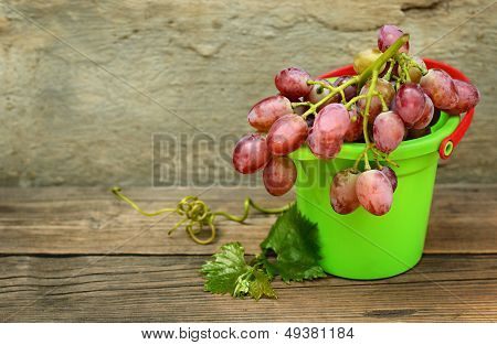 Grapes In A Children's Plastic Bucket