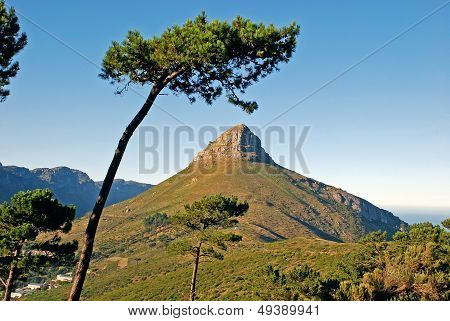 Mountain In Capetown, South Africa