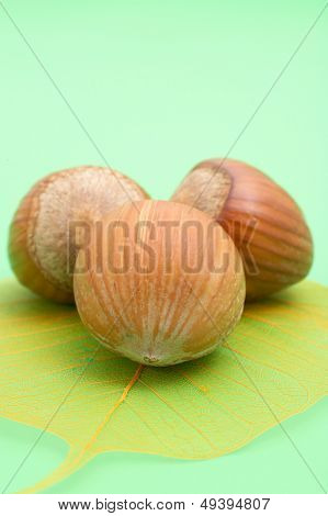 hazelnuts and transparent colorful leaves on green background