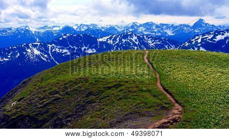 Trail to the Mountains