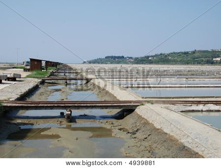 Krystalizace soli pole, Seca, Slovinsko
