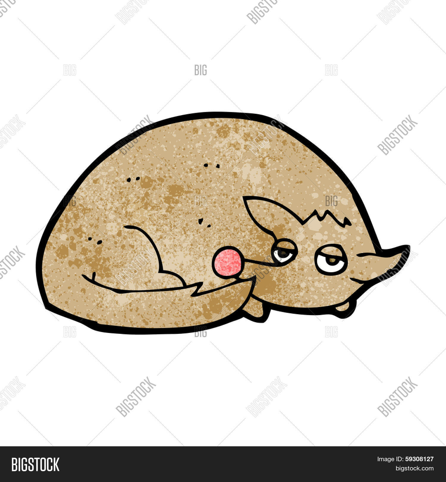 Cartoon Curled Dog Vector & Photo (Free Trial) Bigstock
