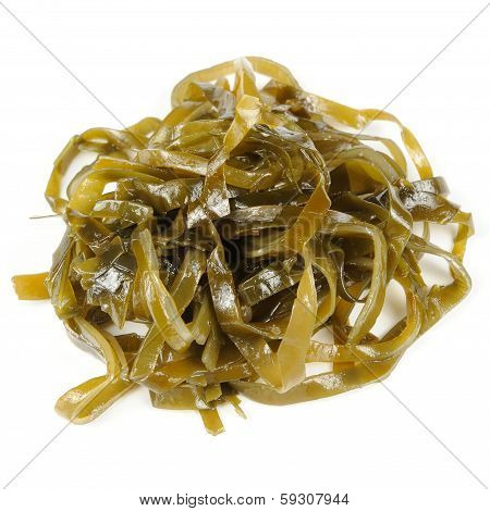 Laminaria (Kelp) Seaweed Isolated On White Background