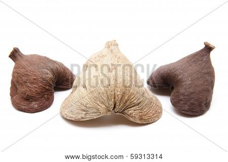 Nutshells