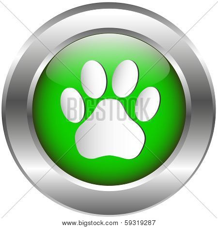 Animal footprint glossy icon